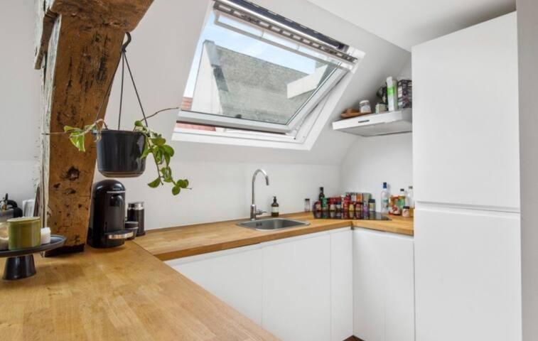 Beautiful Cosy Apartments In The Heart Of Antwerpen Ngoại thất bức ảnh
